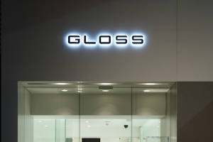 gloss01.jpg